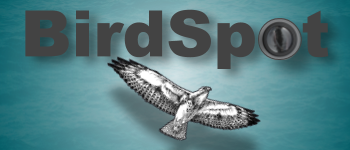 BirdSpot logo
