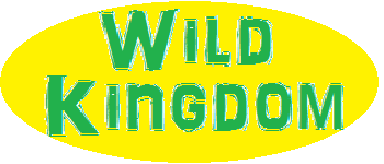 Wild Kingdom logo