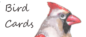 Bird Cards logo