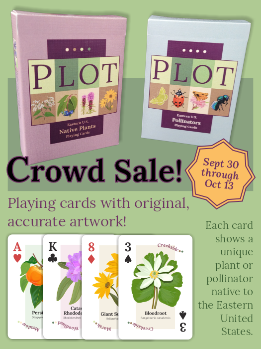 Crowd Sale Ad