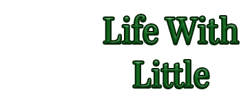 Life With Little logo