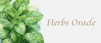 Herbs Oracle logo