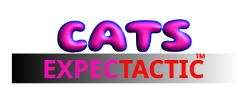 Cats ExpecTactic Mint logo