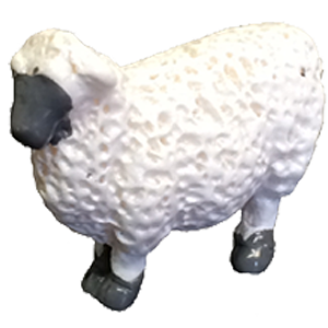 Premium Sheep Thumbnail