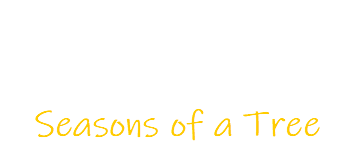 Seasons of a Tree logo