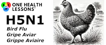 Keep Bird Flu Away From You! Cards (Global Edition) logo