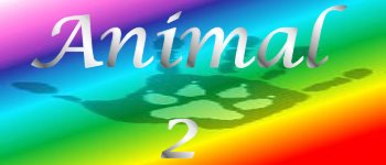 Animal Medicine 2 logo