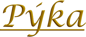 Pyka logo