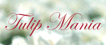Tulip Mania logo