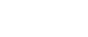 D4 Liar's Dice: 2 Player Set logo