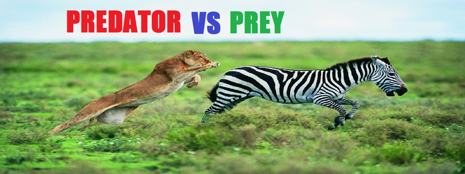 predator and prey