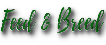 Feed & Breed logo