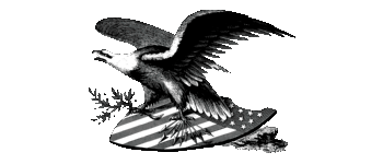 Founding Fathers: Civil War & the Gilded Age - Green Edition logo