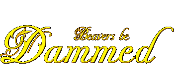 Beavers Be Dammed logo