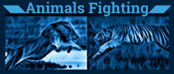Animals Fighting Board Game - Battles to the Death logo