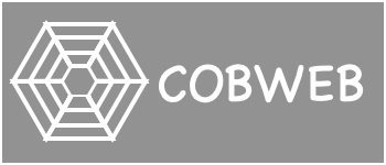Cobweb logo