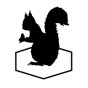 designer logo