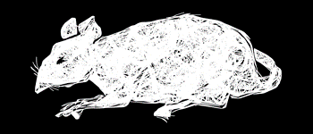 Ratas de cloaca logo