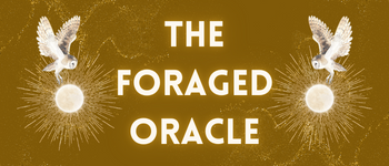 Foraged Oracle logo
