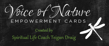 Voice of Nature Empowerment Cards logo