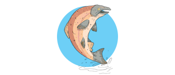 The Journey Upstream logo