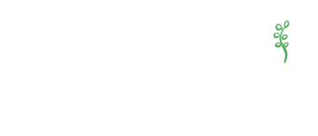 Graceful Living logo