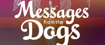 Messages from the Dogs Oracle Deck logo