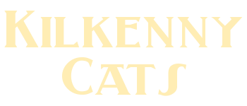 Kilkenny Cats logo