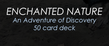 ENCHANTED NATURE, An Adventure of Discovery logo