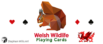 Geometric Welsh Wildlife Playing Cards logo