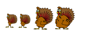 Turkey Run logo