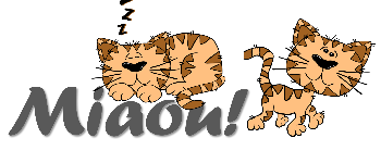 Miaou! logo