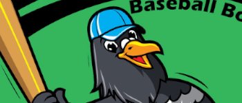 RALLYBIRD BASEBALL logo