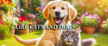Like Cats and Dogs logo