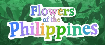Flowers of the Philippines ~ logo