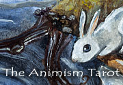 Ad for The Animism Tarot