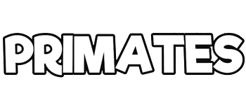 PRIMATES 48 flashcards logo