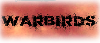 Warbirds logo