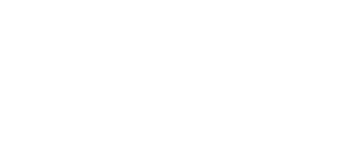 Lost Pirate logo