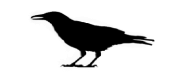 Dark Rider Waite Wraithe Tarot - Black Light Edition logo