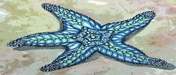 Gifts from the Sea Oracle logo