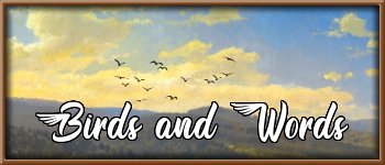 Birds and Words logo