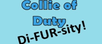 Collie of Duty: Di-FUR-sity Expansion logo