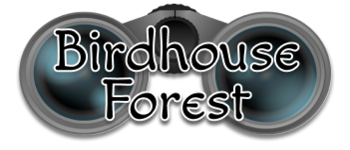 Birdhouse Forest logo