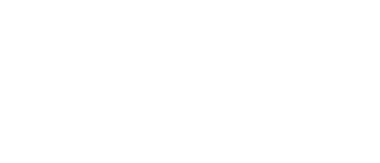 D4 Liar's Dice: 4 Player Set logo