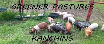 Greener Pastures Ranching (Deluxe) logo