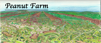 Peanut Farm logo