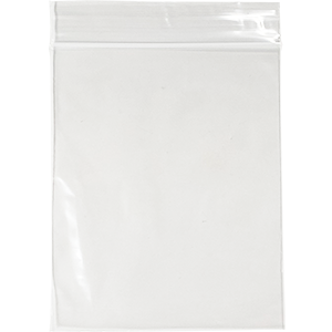 4 X 5 Baggies Thumbnail