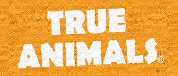 True Animals, TCG - Starter Pack, Eastern USA logo