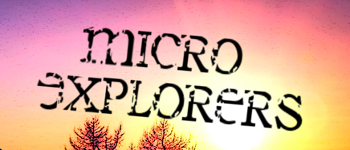 Micro Explorers logo